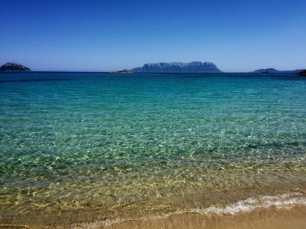 Hotel Stefania Boutique Hotel By The Beach Olbia Ngoại thất bức ảnh
